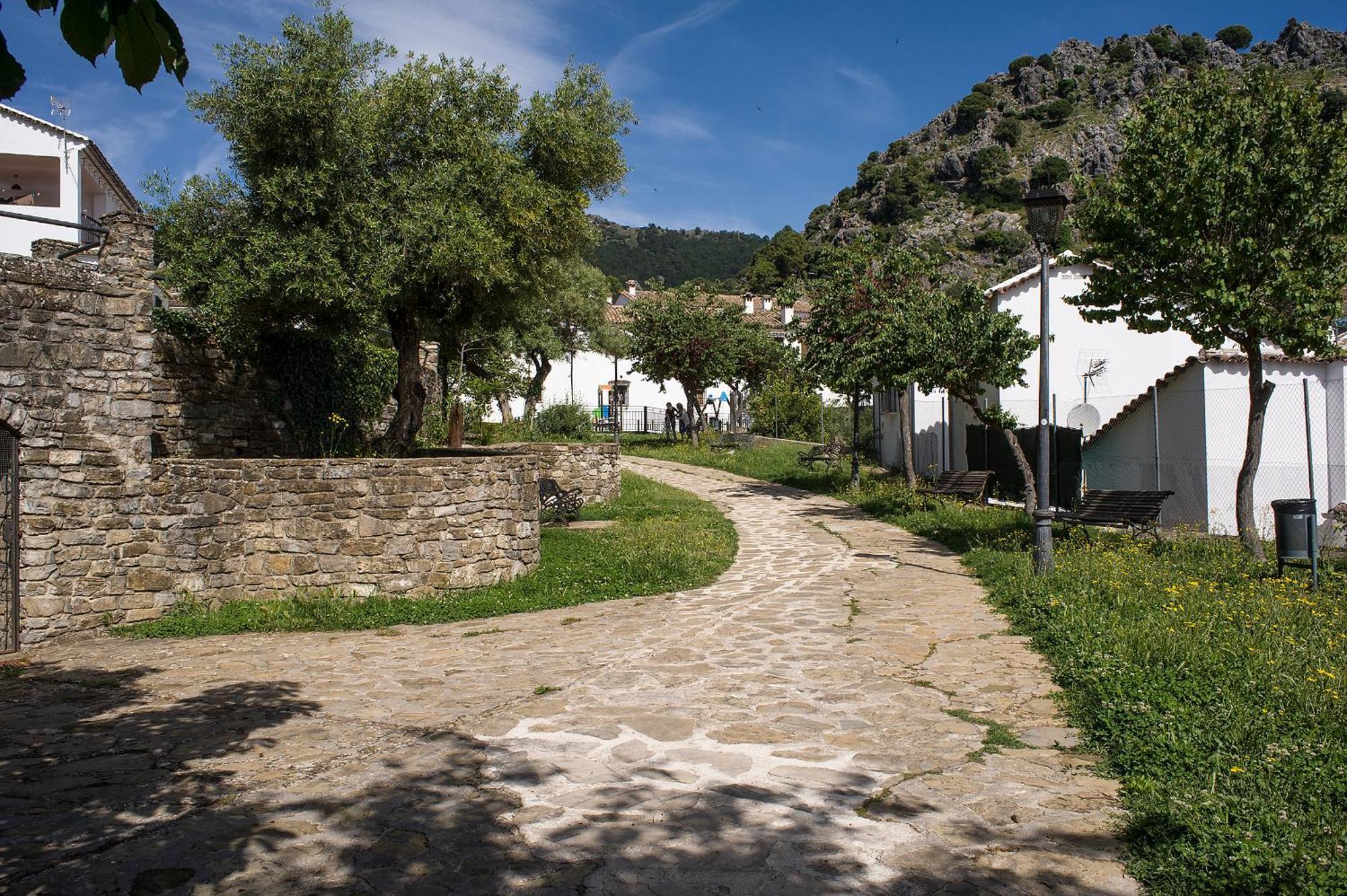 Casa Rural La Callejita Grazalema Buitenkant foto